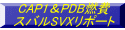 �X�o���@SVX�@�R��e�X�g